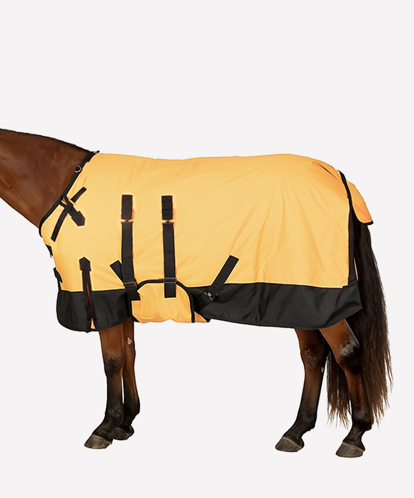 The Windsor Signature Blanket